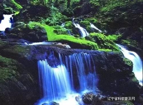 空中抛枪无敌版